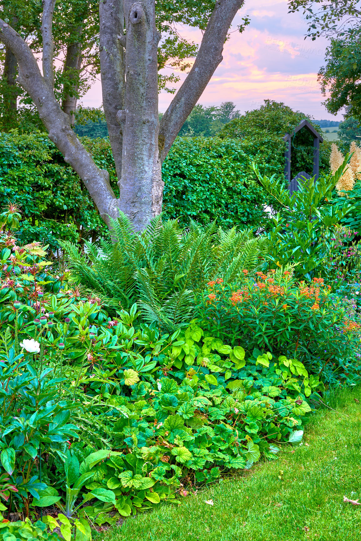 Buy stock photo A photo of the garden in summertime