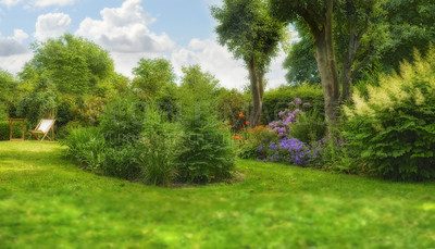 Buy stock photo Garden, park and plants with landscaping design for gardening, sustainability or scenery. Foliage, flowers or backyard lawn with blurred background for eco friendly neighborhood, greenery or property