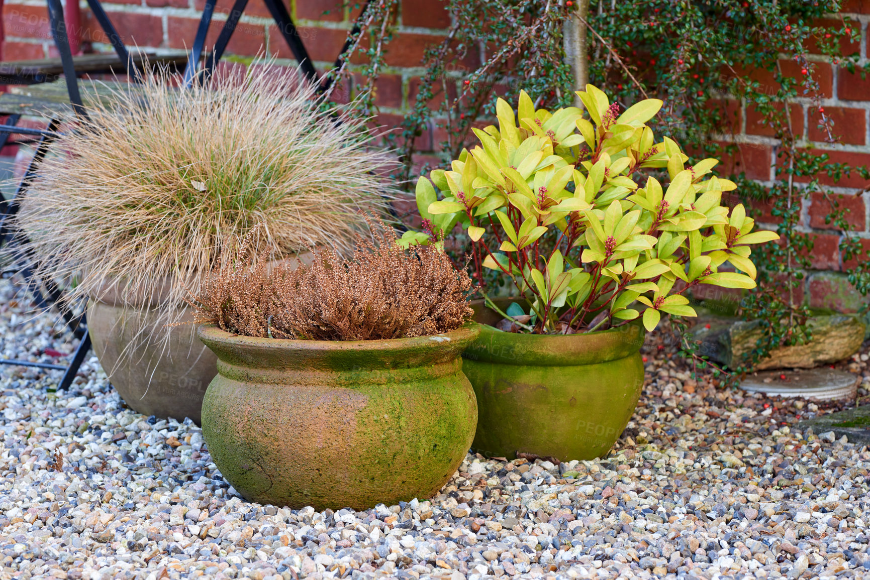 Buy stock photo A photo of the garden in summertime