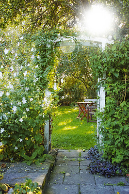 Buy stock photo A photo of the garden in summertime