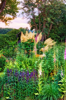 Buy stock photo A photo of the garden in summertime