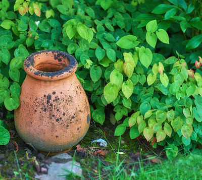 Buy stock photo A photo of the garden in summertime