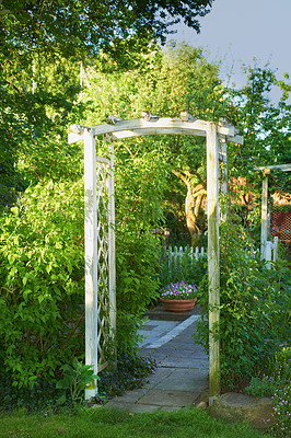 Buy stock photo A photo of the garden in summertime