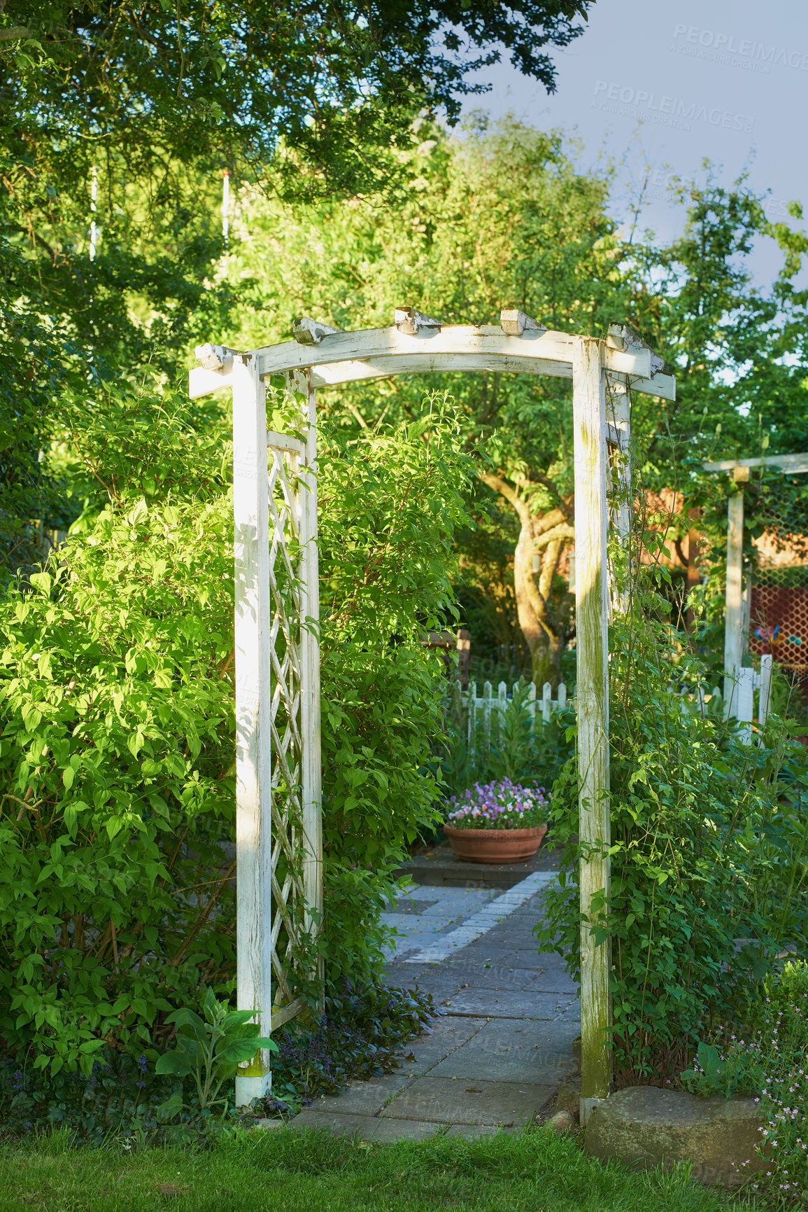 Buy stock photo A photo of the garden in summertime