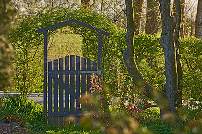 Buy stock photo Garden, gate and flowers landscape with plants for entrance to home, residential property and natural environment. Foliage, wooden structure and pathway in nature for security, architecture and entry