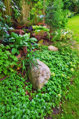 Buy stock photo Nature, growth and peace with rock in garden for environment, sustainability and spring season. Grass ecology, meadow and biology with plants in countryside for botanical, bloom and ecosystem