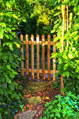 Buy stock photo Nature, growth and peace with gate in garden for environment, sustainability and spring season. Grass ecology, meadow and biology with plants in countryside for botanical, fence and ecosystem