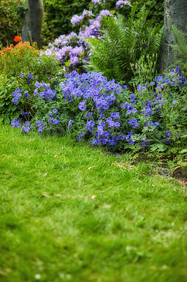 Buy stock photo A photo of the garden in summertime