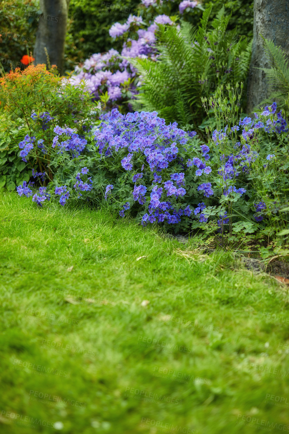 Buy stock photo A photo of the garden in summertime