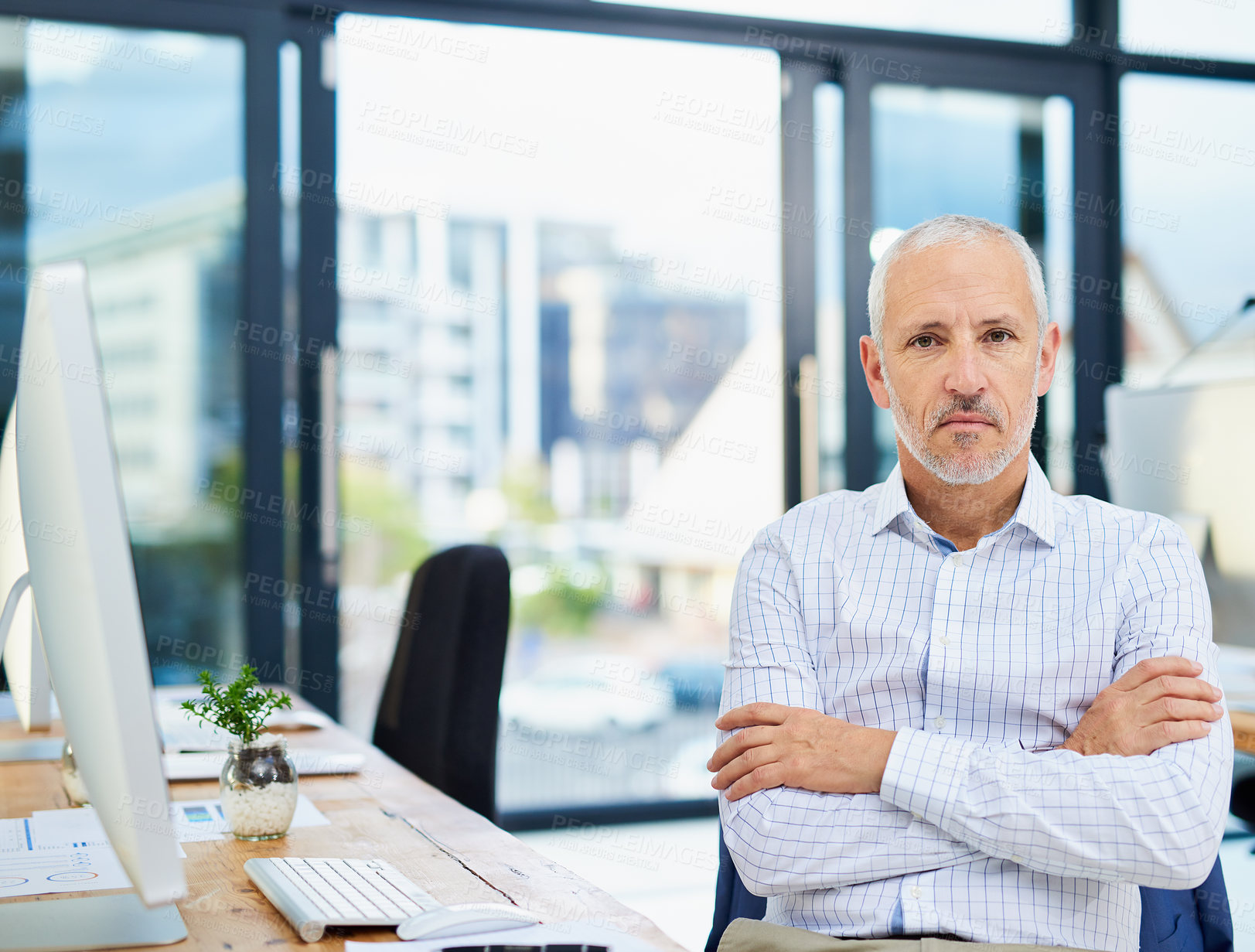 Buy stock photo Cropped portrait of a mature businessman sitting with his arms folded in the office