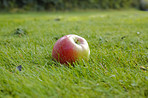 Fresh apples in natural setting