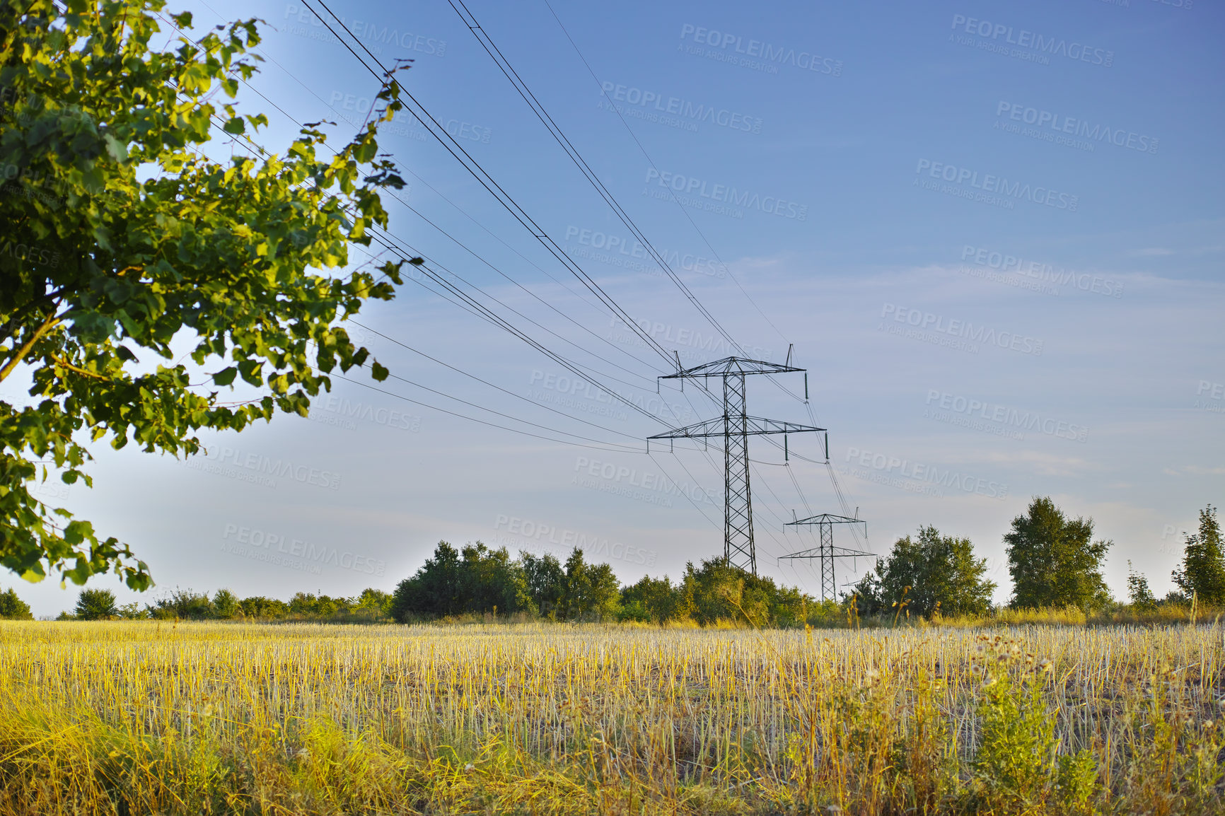 Buy stock photo A photo of a vibrant country field in harvest