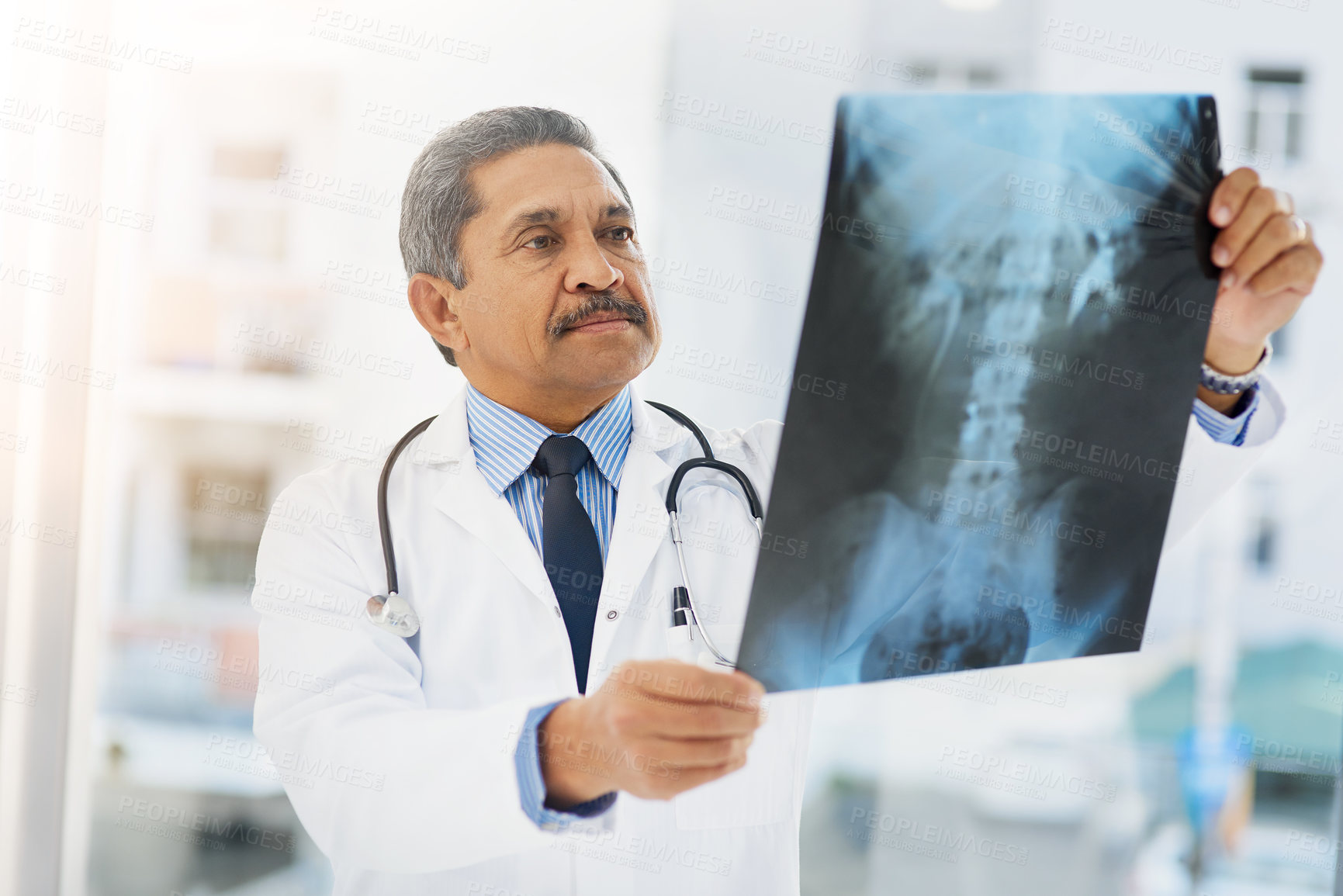Buy stock photo Shot of a mature doctor looking at an x ray