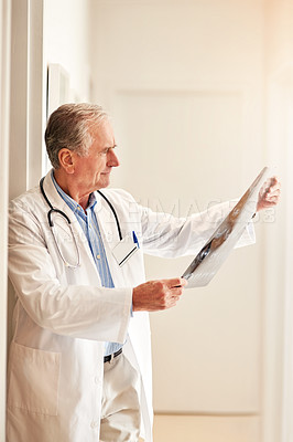 Buy stock photo Cropped shot of a mature doctor holding up an x-ray to examine it