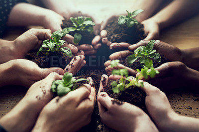 Buy stock photo Closeup shot of a group of people each holding a plant growing in soil