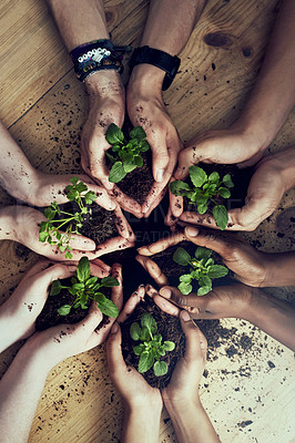 Buy stock photo Closeup shot of a group of people each holding a plant growing in soil