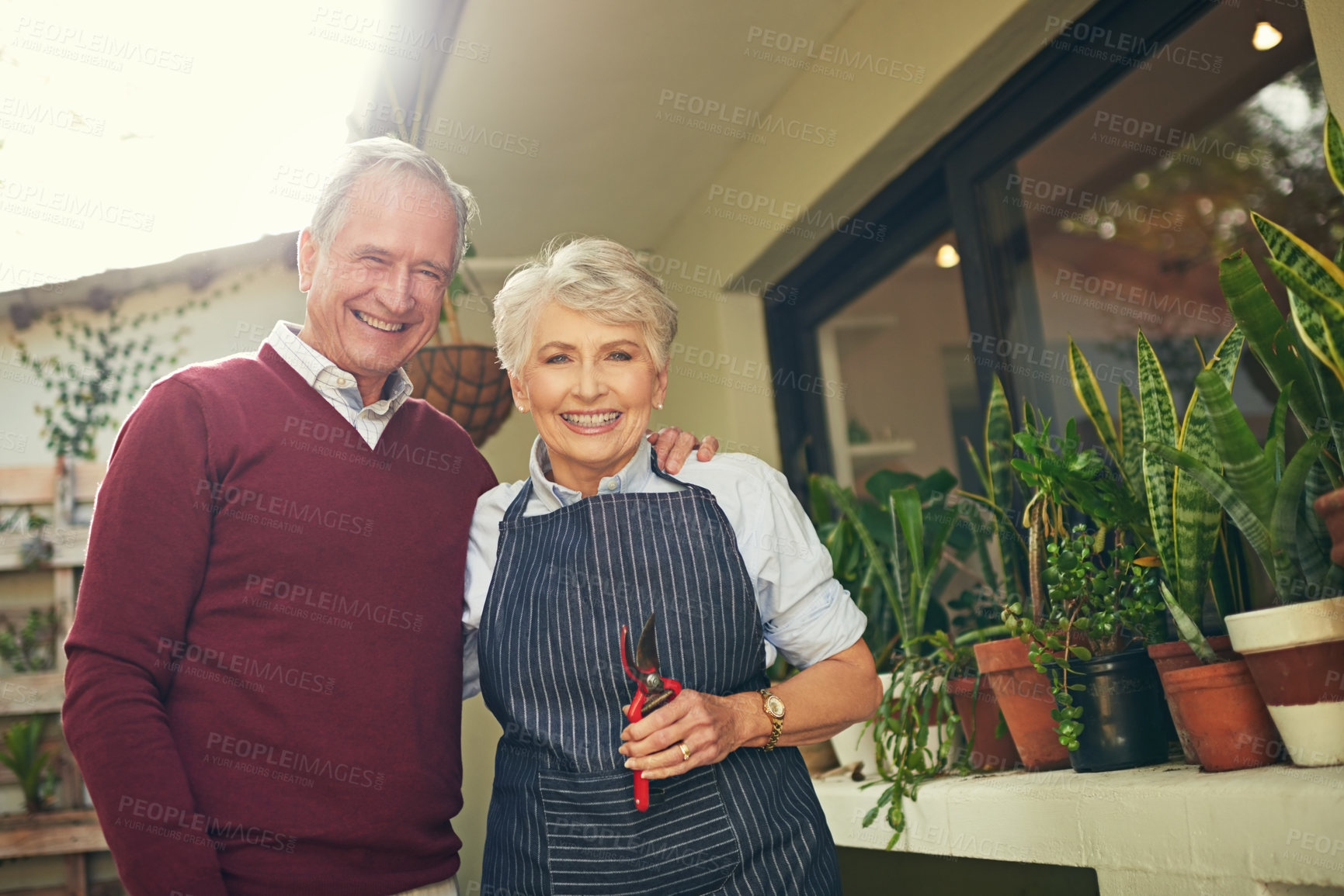 Buy stock photo Portrait, senior couple and gardening in home with love for sustainability, environment or outdoor. Retirement, plants and elderly people with tools for eco friendly, hugging or weekend together