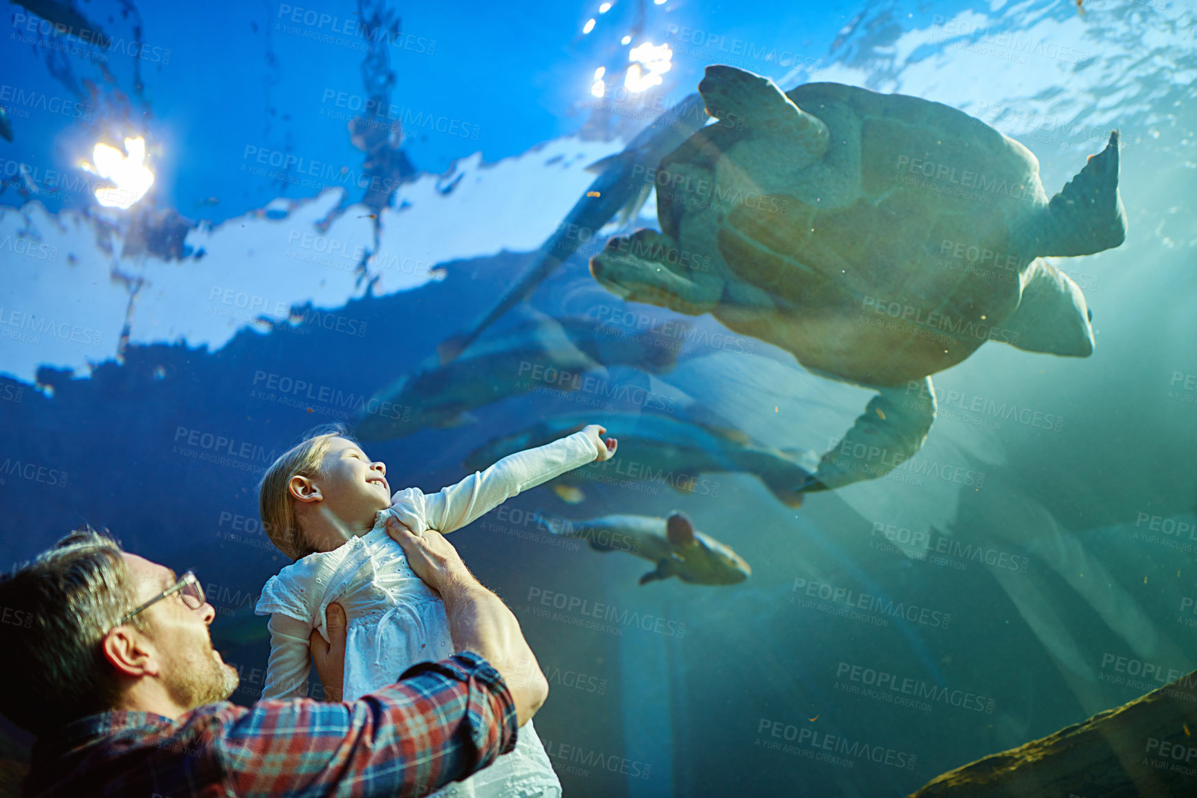 Buy stock photo Cropped shot of a father and his little daughter looking at an exhibit in an aquarium