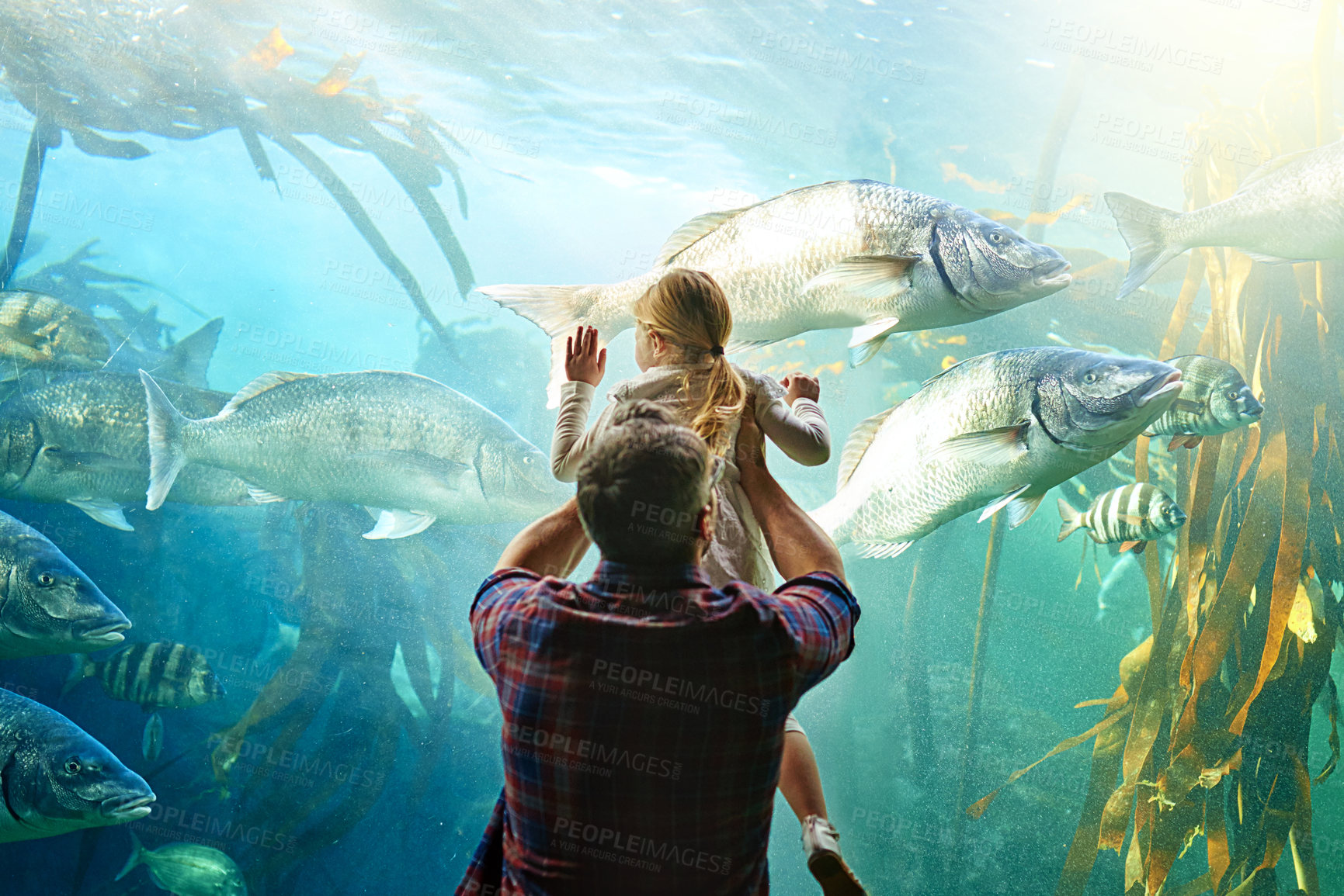 Buy stock photo Cropped shot of a father and his little daughter looking at an exhibit in an aquarium