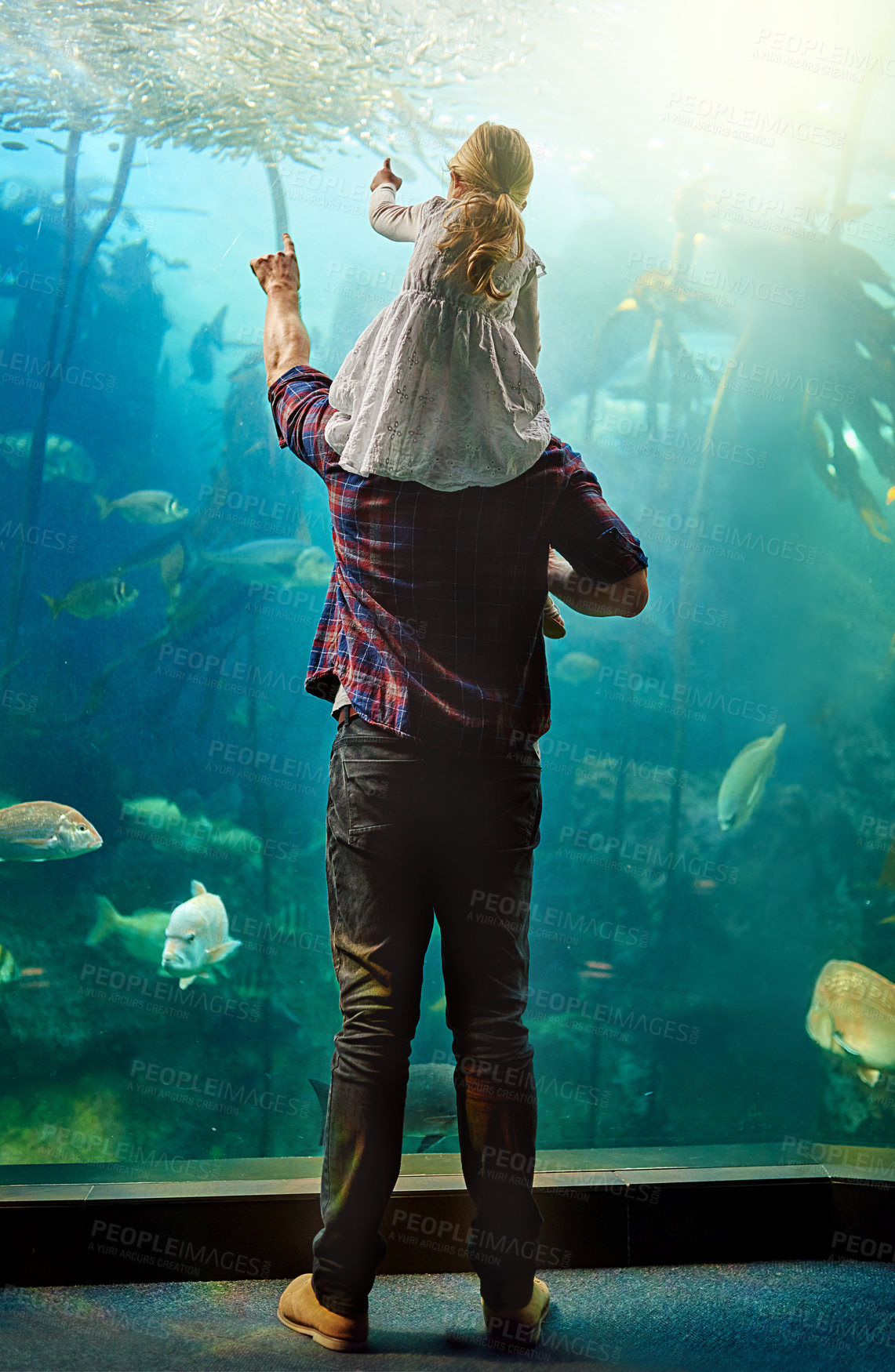 Buy stock photo Shot of a father and his little daughter looking at an exhibit in an aquarium