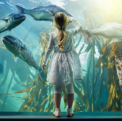 Buy stock photo Shot of a little girl looking at an exhibit in an aquarium