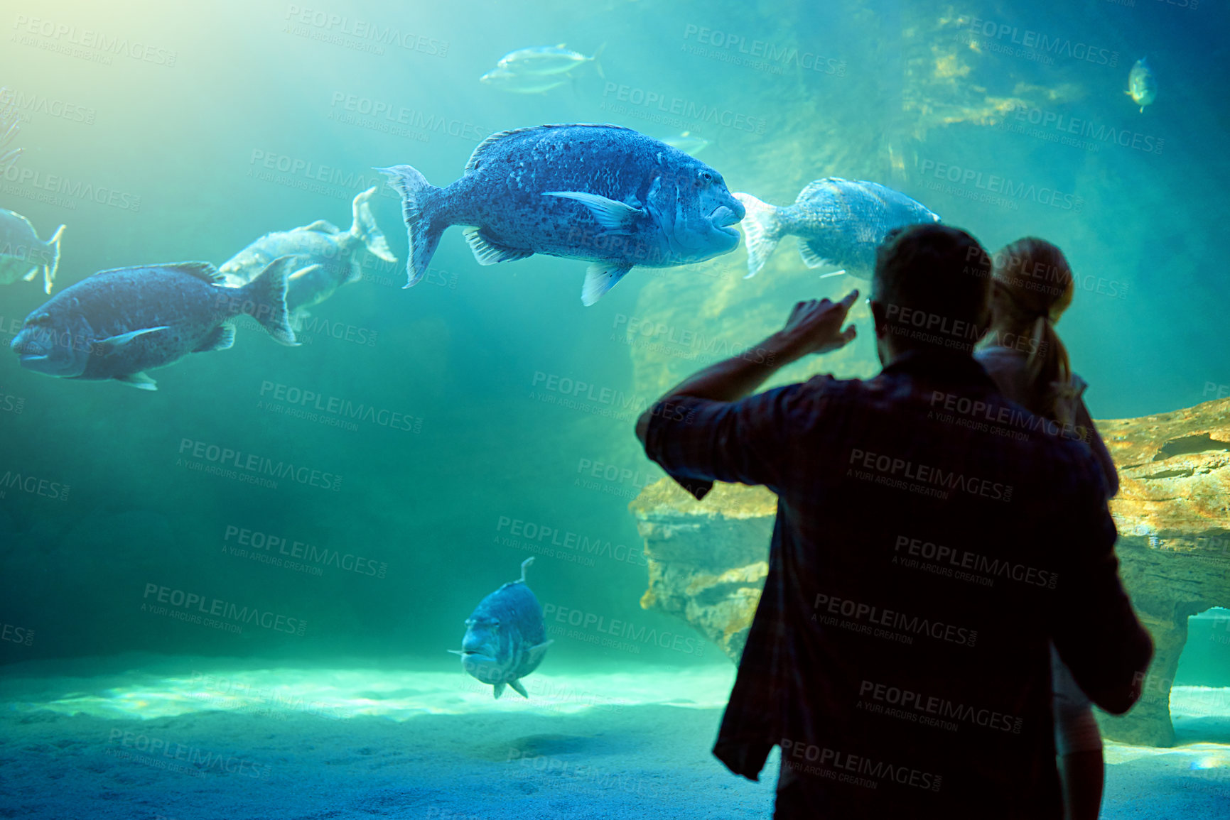 Buy stock photo Back, father and daughter with fish in aquarium for education experience, marine learning and environment. Family, glass and watch tank for sea animals study, ecology development and bonding together