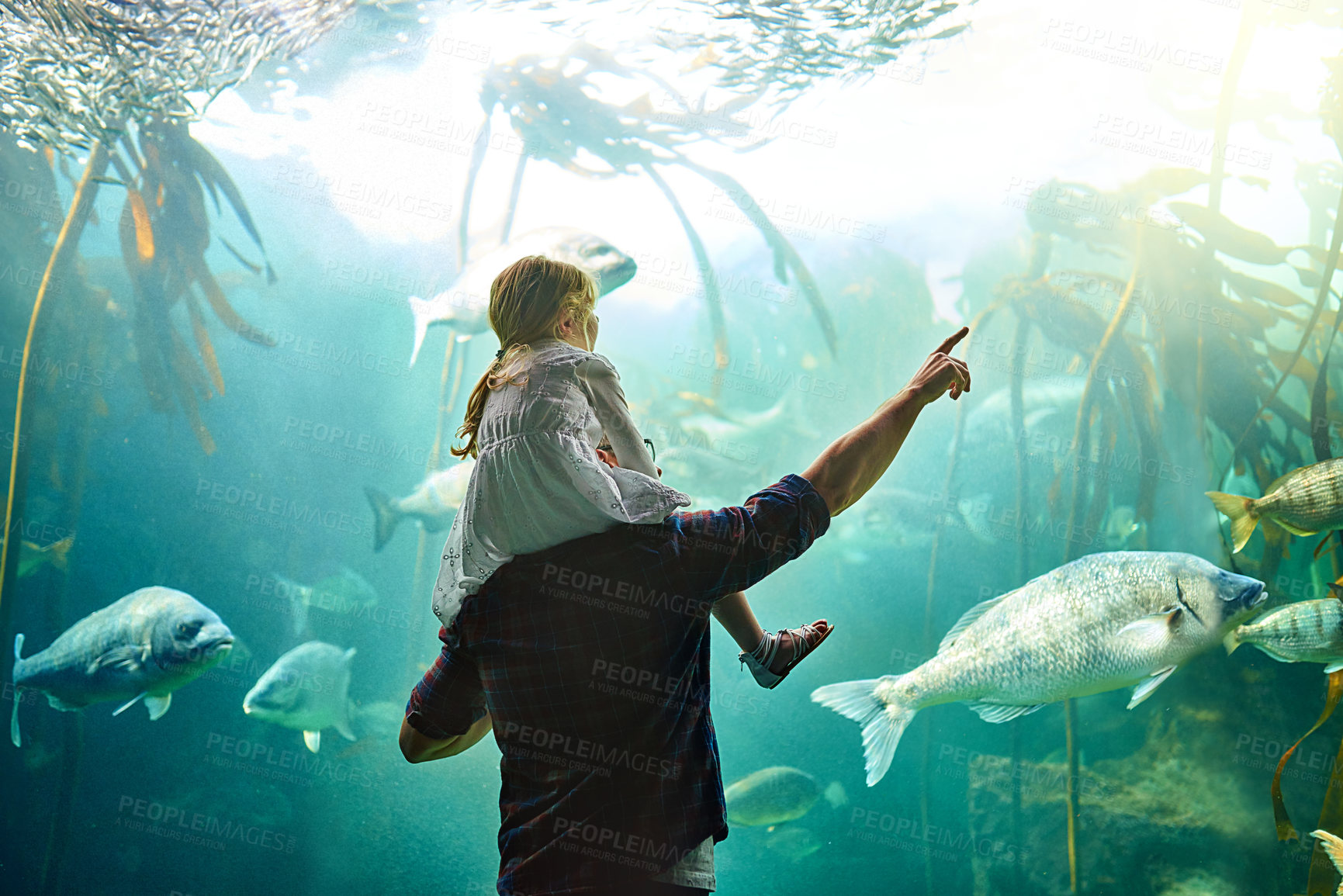 Buy stock photo Father, girl and back with fish in aquarium of education experience, marine learning and coral environment. Family, pointing and exhibit tank for sea creatures, biology and bonding together.