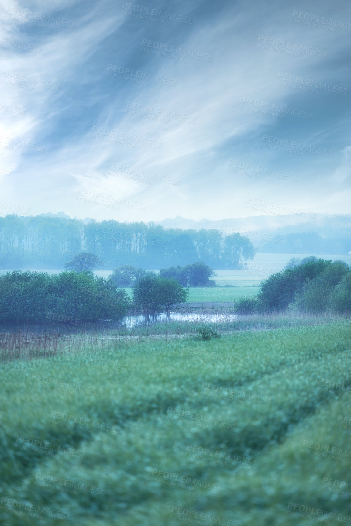 Buy stock photo Outdoor, nature and countryside with agriculture, plants and Denmark with farming, harvest and clouds. Empty, outside and fog with sustainability, growth or eco friendly with landscape or environment