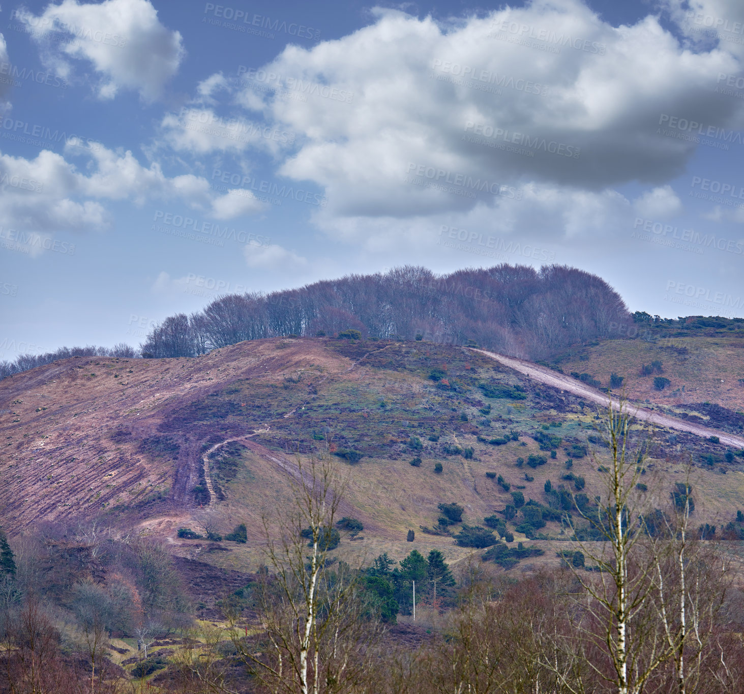 Buy stock photo  The landscape of the mountain slope with grass with narrow passages. A sunny afternoon on a hill. Inclining side view of a mount with green bushes all over. Village side hiking destination.


