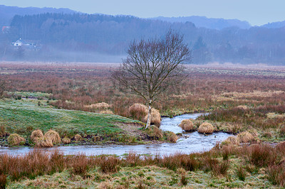 Buy stock photo Landscape of a river in the countryside on misty day. Small stream between fields of farm land. Green foliage by the riverbank with hills for nature background. Water in an overgrown marsh wilderness