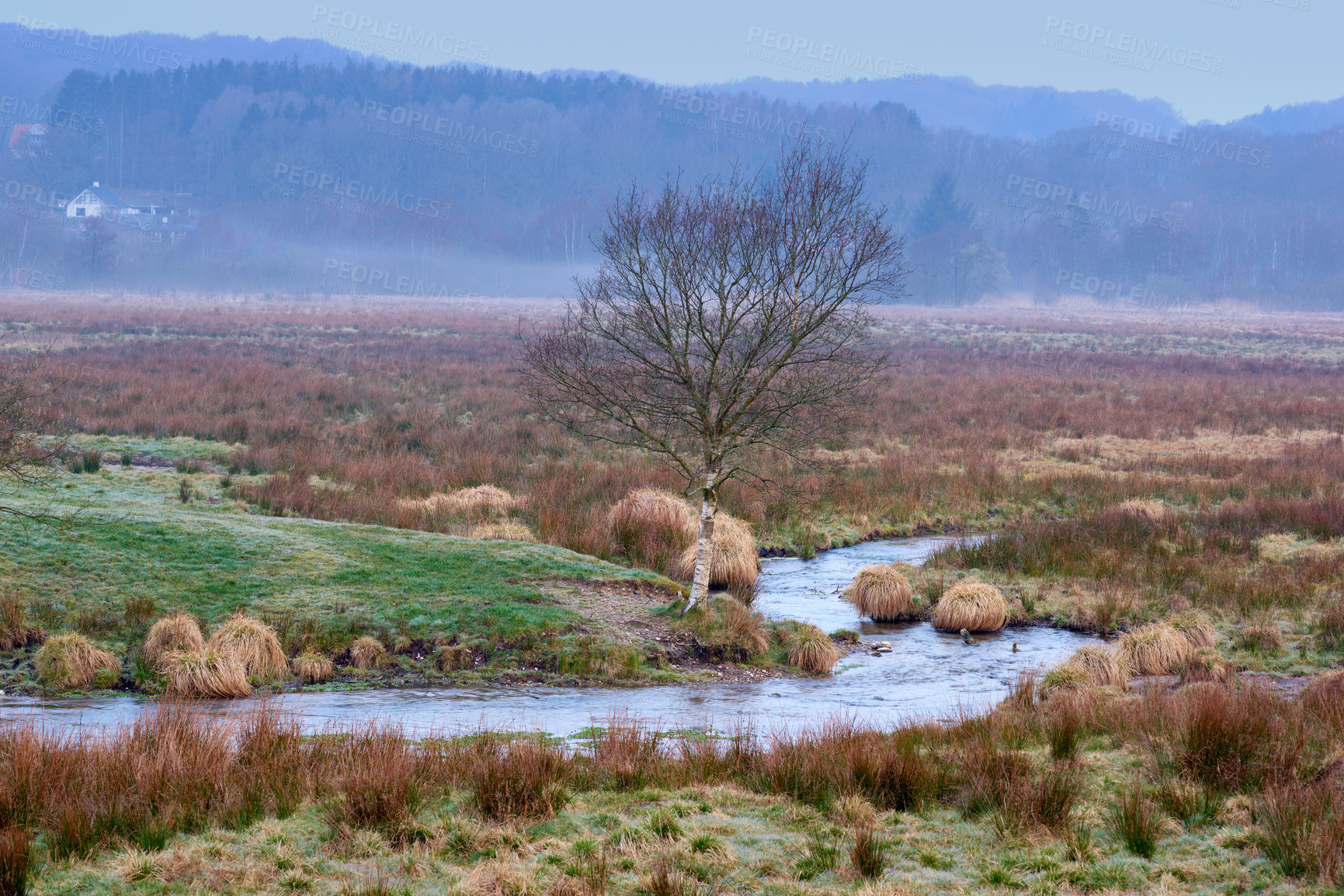 Buy stock photo Landscape of a river in the countryside on misty day. Small stream between fields of farm land. Green foliage by the riverbank with hills for nature background. Water in an overgrown marsh wilderness