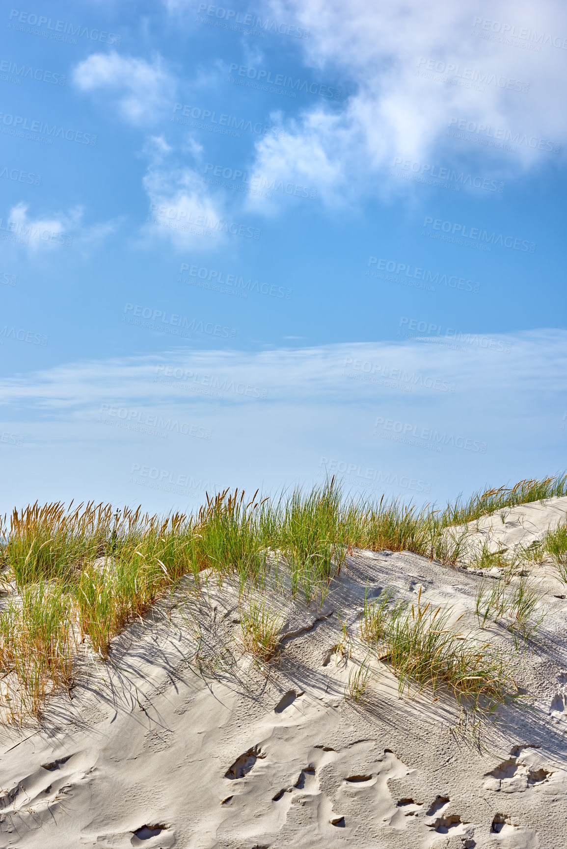 Buy stock photo Blue sky, dune and sand with nature, grass and environment with summer, tourism and traveling. Empty, outdoor and adventure with sunshine, Denmark and vacation with landscape, beach and ecology