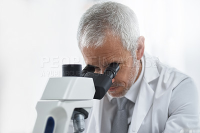 Buy stock photo Scientist, mature man and microscope in lab for discovery, medical research and test for forensics. Male person, analyze and doctor for biology or pathology exam, lens and check results of experiment