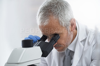Buy stock photo Mature man, microscope and scientist in lab for science innovation, vaccine or antiaging medicine. Life extension, medical or healthcare biologist looking at DNA chemistry in research or examination