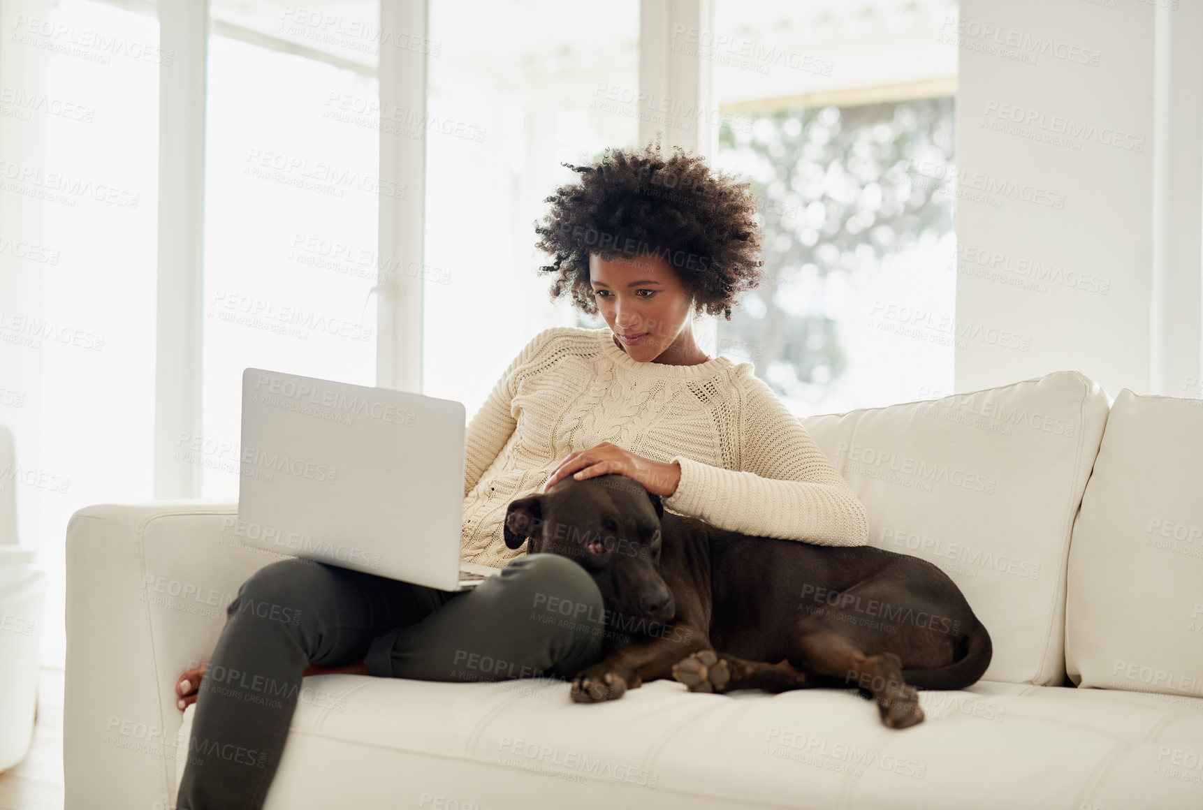 Buy stock photo Shot of an attractive young woman petting her dog while using her laptop on the sofa at home