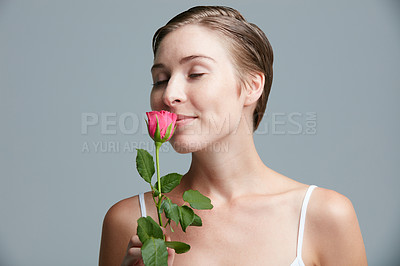 Buy stock photo Studio shot of an attractive young woman holding a pink rose against a gray background