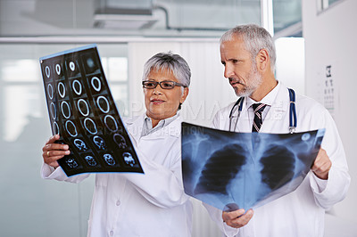 Buy stock photo Cropped shot of two doctors viewing x-rays together