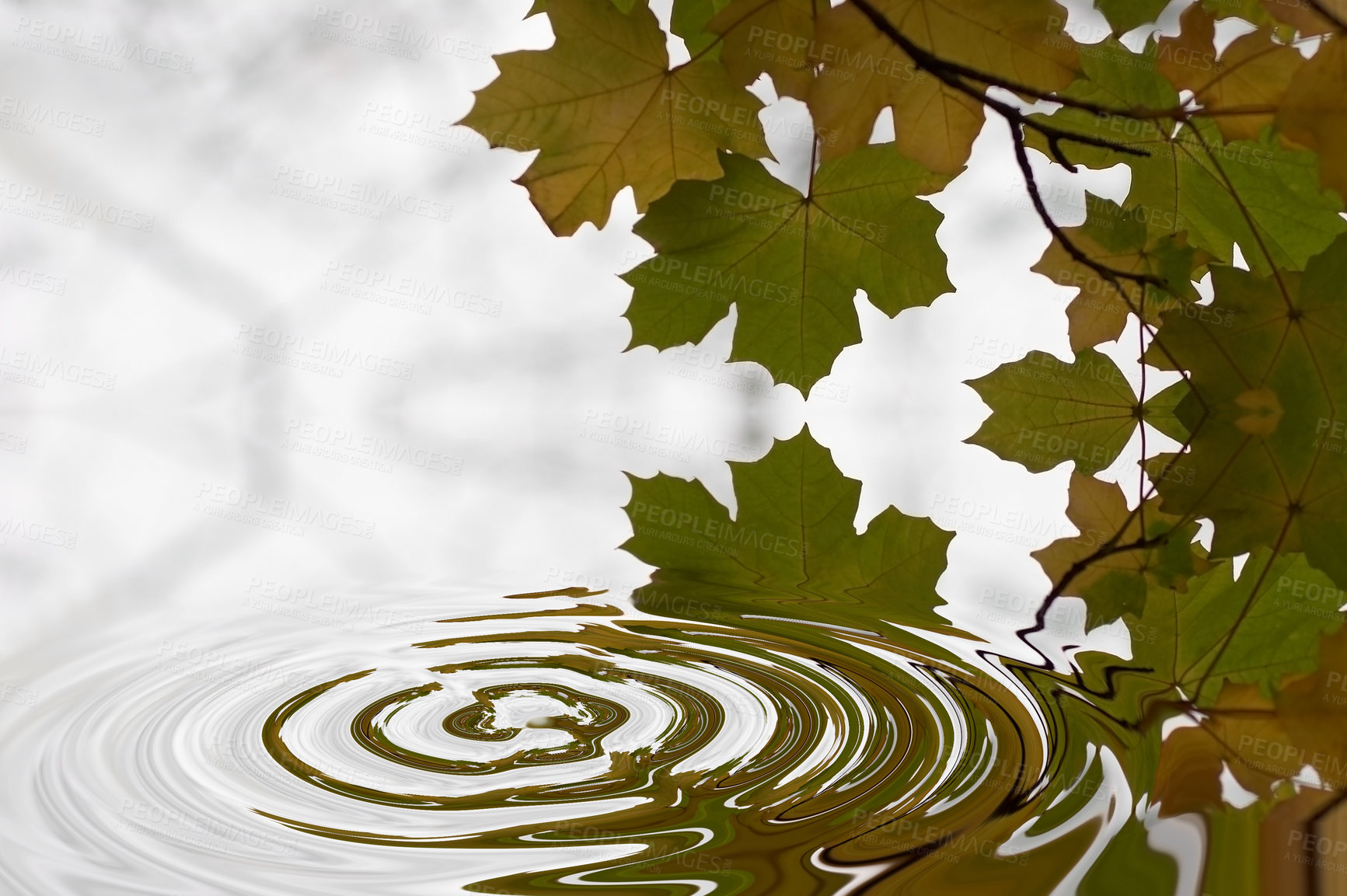 Buy stock photo Ripple, leaf and nature with water drop pattern with mockup for 3d, digital and texture. Environment, design and waves with liquid in background for abstract, sustainability and art deco graphic