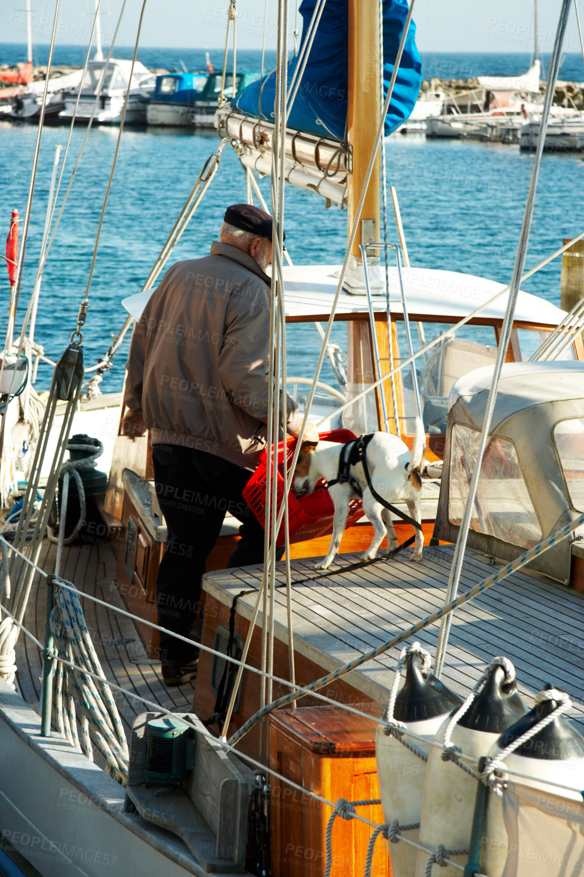 Buy stock photo Travel, yacht and man sailor on the ocean for coastal vacation, adventure or holiday in summer. Nature, sailing and senior male person working on sailboat with a dog on sea for tropical weekend trip.