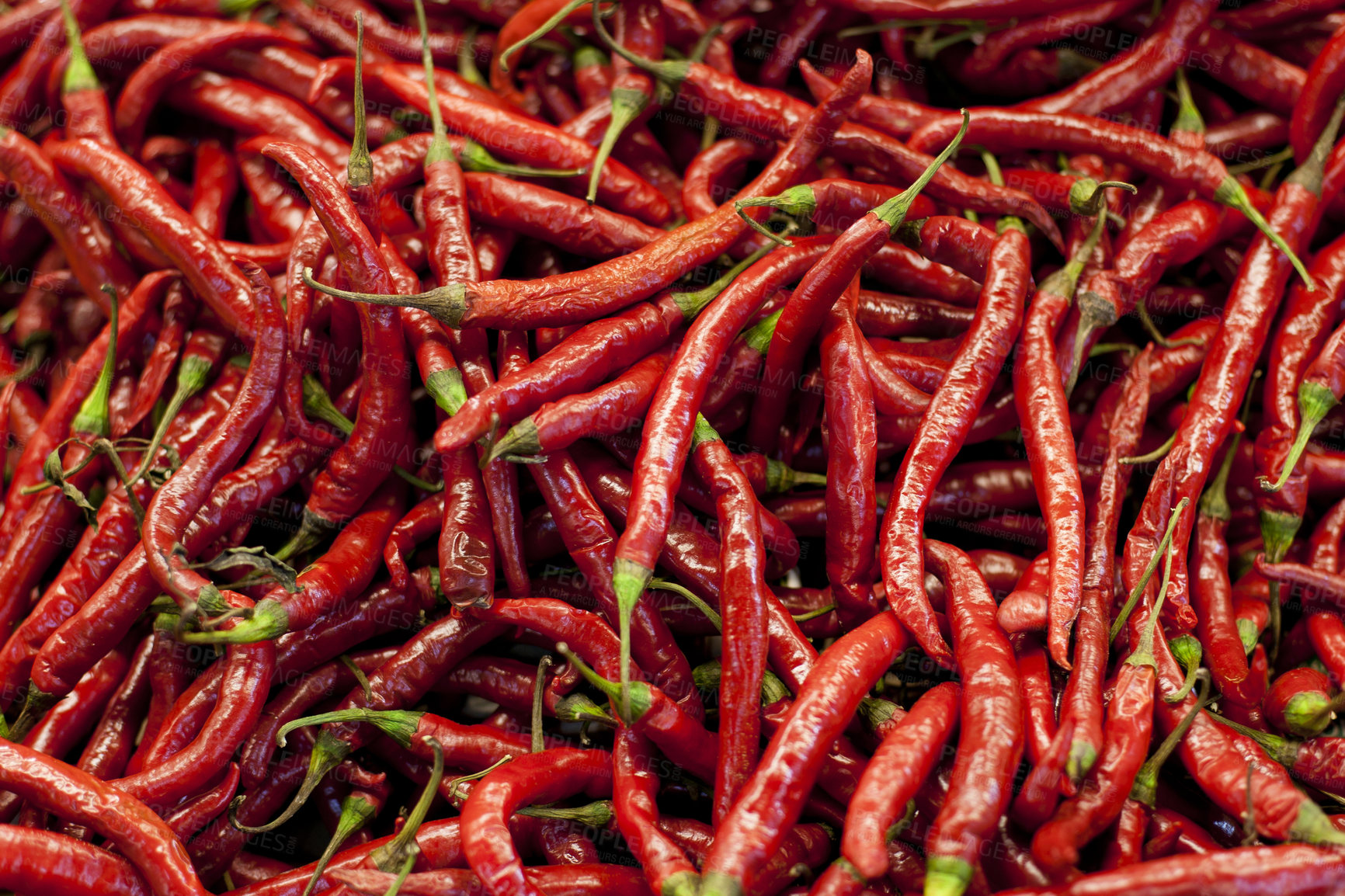 Buy stock photo Spicy, red pepper and grocery with chillies in supermarket for organic food, shopping and health. Mexican, plant and heat with hot vegetable ingredient in store for seasoning, paprika and nutrition