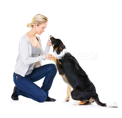 Buy stock photo Woman, dog and paw in studio for training, learning and greeting with smile by white background. Trainer, healthy pet animal and friends for teaching, love and care while isolated with happiness