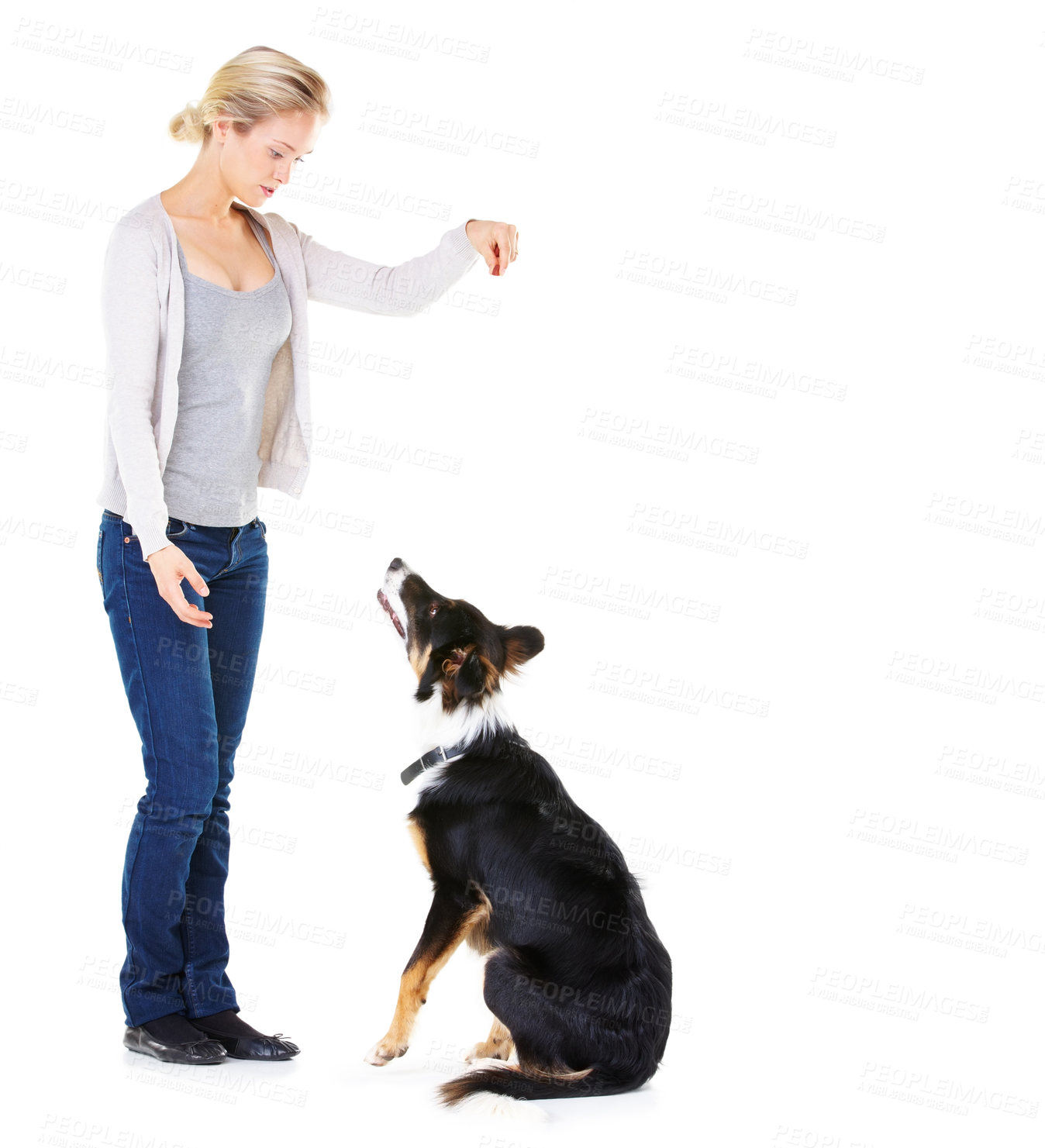 Buy stock photo Woman, dog training and studio with reward for learning, greeting and smile by white background. Trainer, teaching and pet animal and friends with focus, love and care while isolated with food