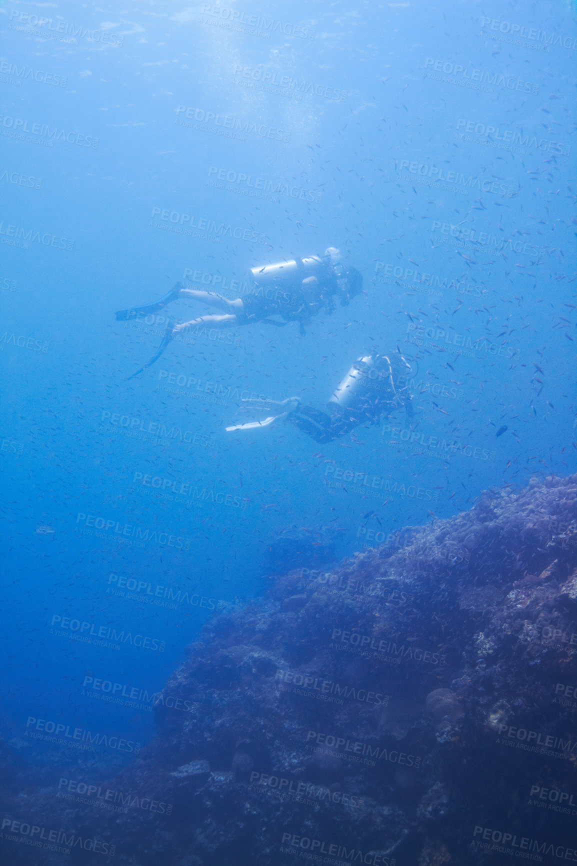 Buy stock photo Couple, swimming and scuba diving in sea for underwater adventure and explore on tropical holiday or vacation. Sports people, tourist or diver with bubbles, blue water and search ocean life or coral
