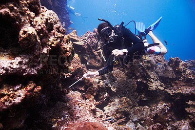 Buy stock photo Young man Scuba diving over a beautiful reef