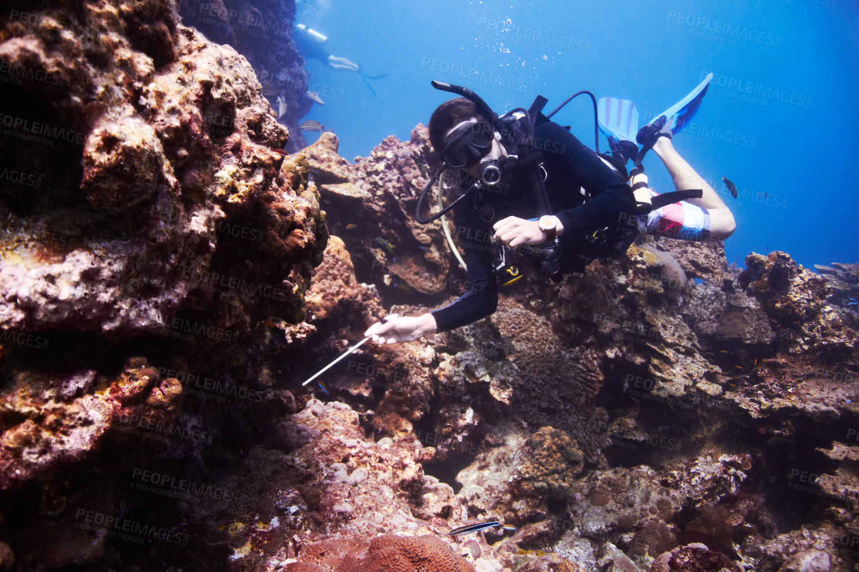 Buy stock photo Young man Scuba diving over a beautiful reef