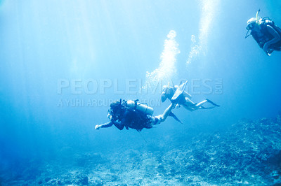Buy stock photo People, swimming and scuba diving in ocean to explore underwater, adventure and tropical holiday or vacation. Sports, group and athlete or expert diver in blue water, bubbles and search for sea life
