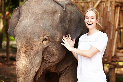 Buy stock photo Travel, freedom and portrait of woman with elephant in a forest for vacation, trip or holiday. Nature, bucket list and face of female traveler with animal in a park for adventure on Thailand journey