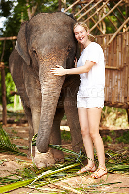 Buy stock photo Portrait, travel and happy woman hug elephant in a jungle for adventure, freedom and experience. Nature, wildlife and female tourist in Thailand bonding with animal in a forest with freedom and fun
