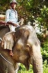 Traditional Thai elephant keeper