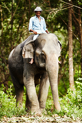 Buy stock photo An elephant keeper riding a young Asian elephant in the forest